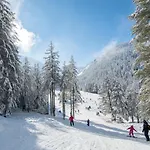 Malyovitsa Govedartsi