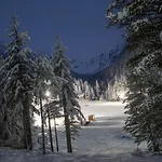 Malyovitsa Hotel Govedartsi