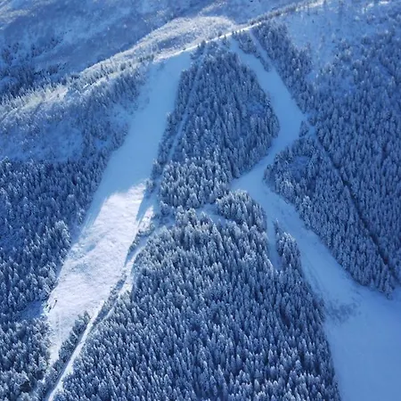 Malyovitsa 3* Govedarți