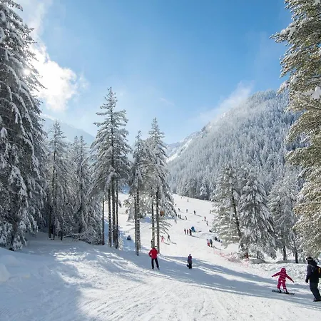 Malyovitsa 고베다르치