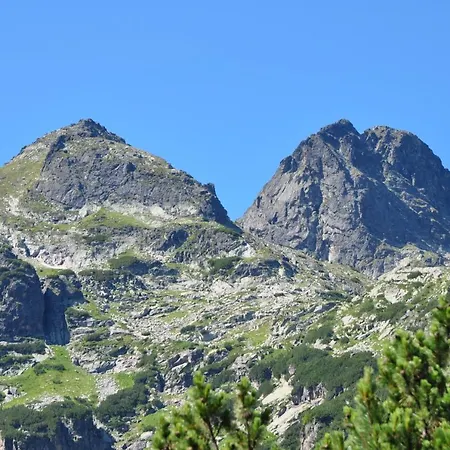 Malyovitsa