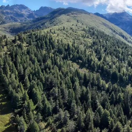 Malyovitsa Govedartsi