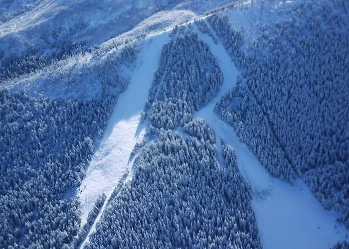 Malyovitsa 3* جوفيدارتسي