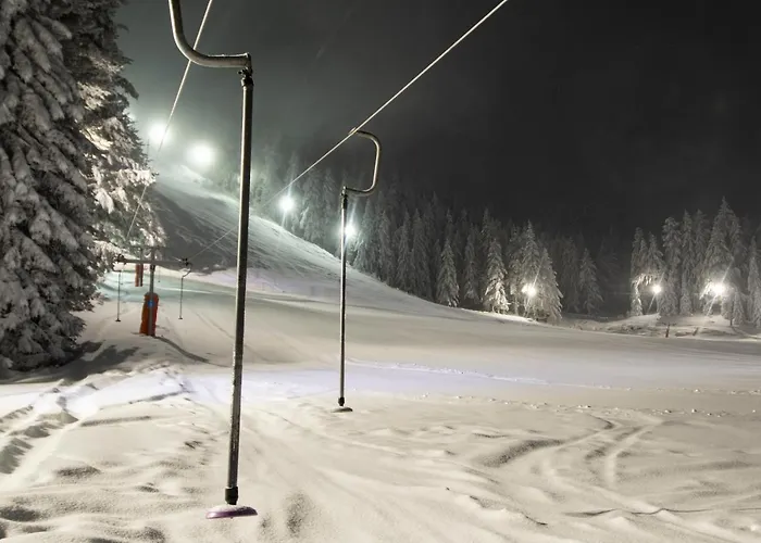 Malyovitsa 3* Govedartsi