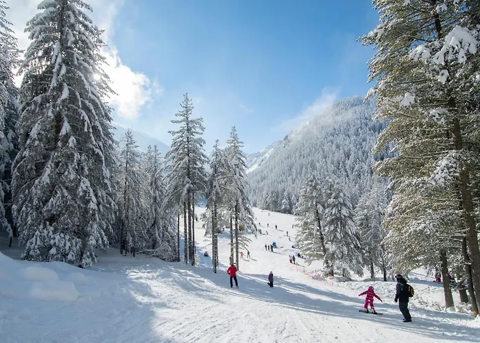 Malyovitsa Govedartsi