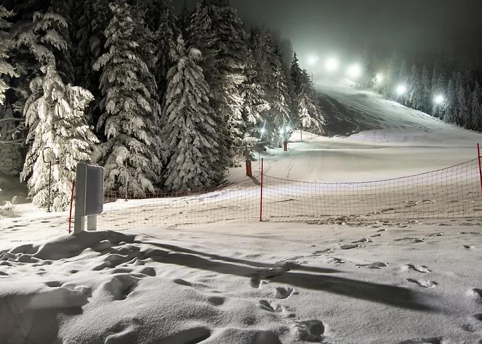 فندق Malyovitsa 3*