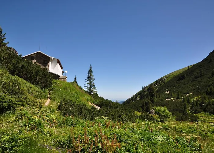 Malyovitsa Govedartsi