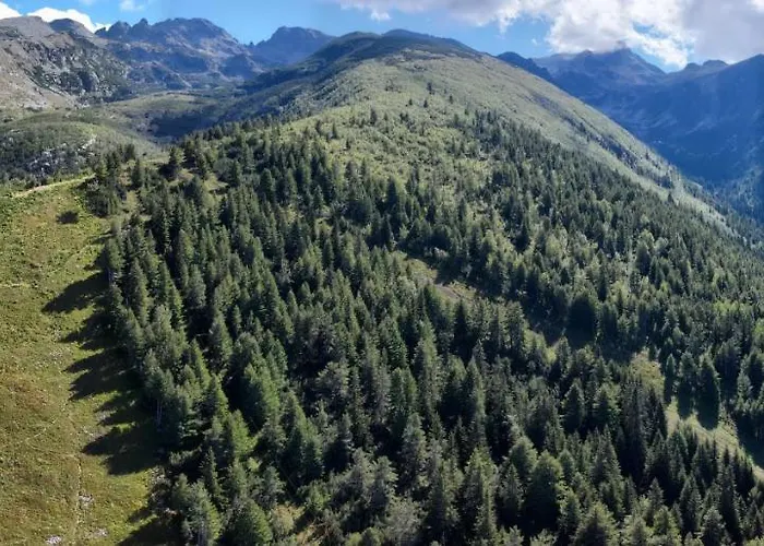 Malyovitsa Govedartsi